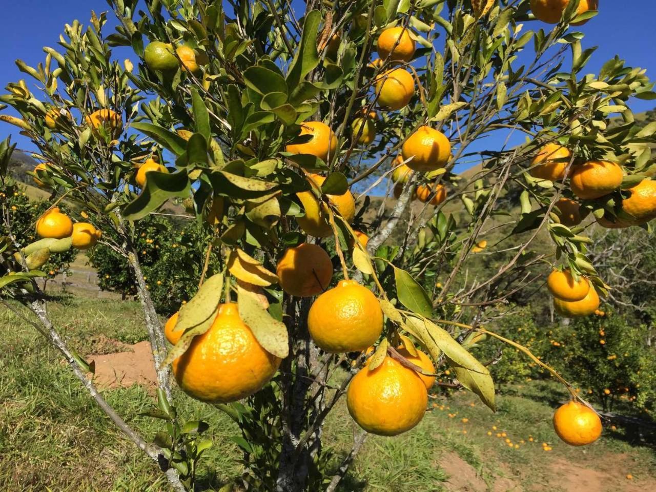 Pousada Agua Limpa Virgínia Εξωτερικό φωτογραφία